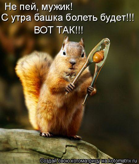 много не пей прикольные картинки онлайн много не пей прикольные картинки
