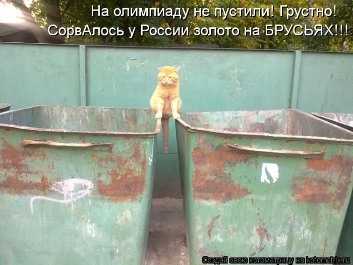 Котоматрицы великолепные, каждая с кусочком тепла, позитива и улыбкой! Котоматрицы великолепные, каждая с кусочком тепла, позитива и улыбкой!