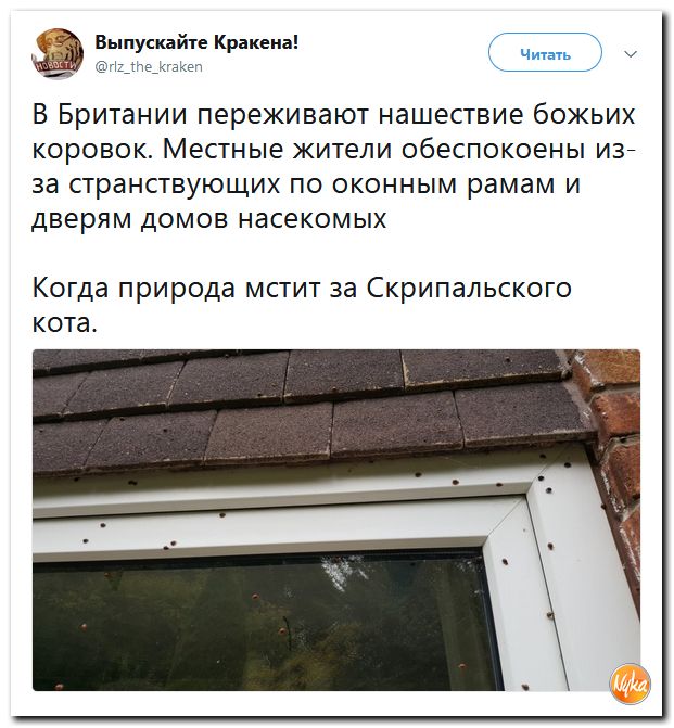 Соцсети жгут! С юмором о злободневном в ехидных скриншотах Соцсети жгут! С юмором о злободневном в ехидных скриншотах