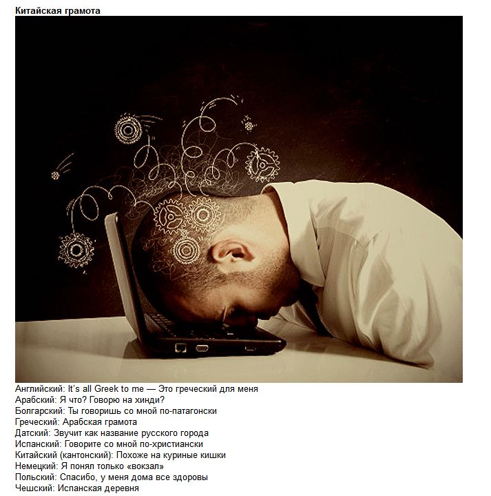 Одинаковые пословицы в разных странах (5 фото)