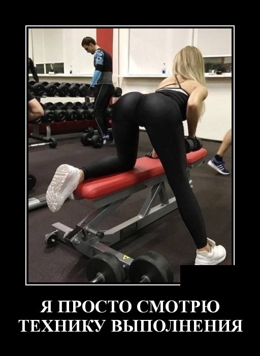 Демотиваторы Демотиваторы