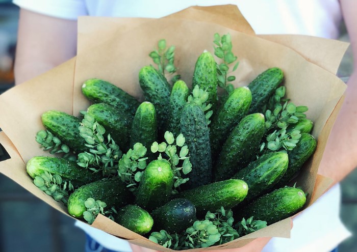 Букет из огурцов может стать отличным подарком / Фото: eatbouquet.ru 8 способов продлить свежесть огурцов в домашних условиях