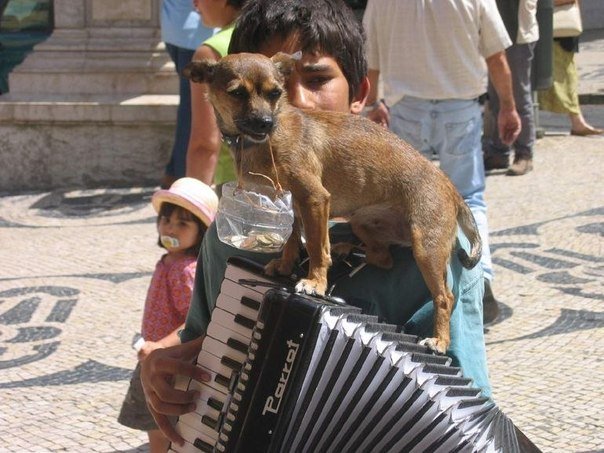Больше, чем просто фотография. Часть 5