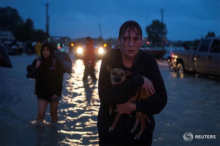 Texans Refuse To Leave Pets Behind As They Flee