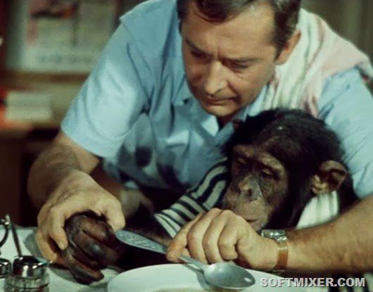 Полосатый рейс, фильм