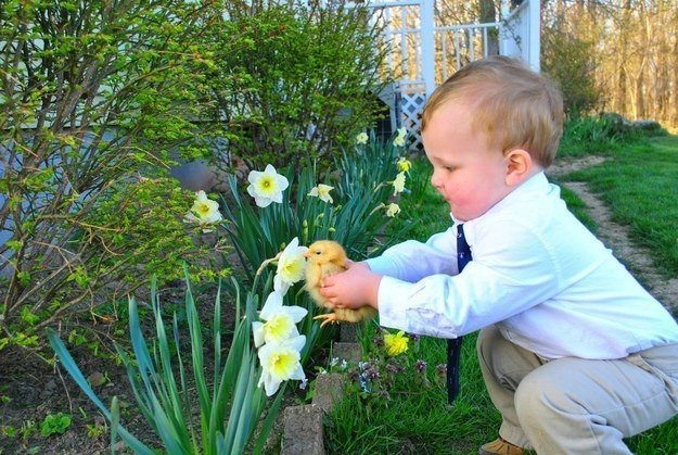 Малыш помогает цыпленку насладиться ароматом цветов