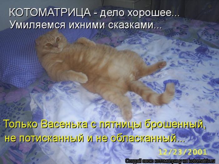 Котоматрицы великолепные, каждая с кусочком тепла, позитива и улыбкой! Котоматрицы великолепные, каждая с кусочком тепла, позитива и улыбкой!