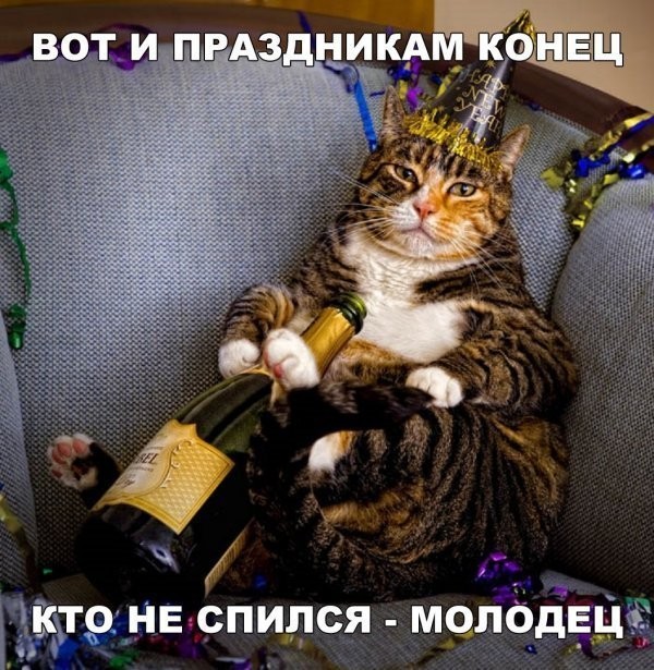 Картинки с приколами (19 фото)