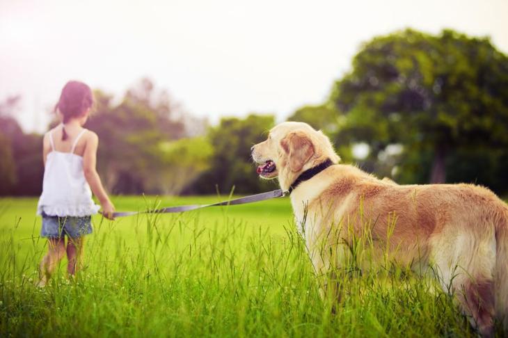children-with-pets-20