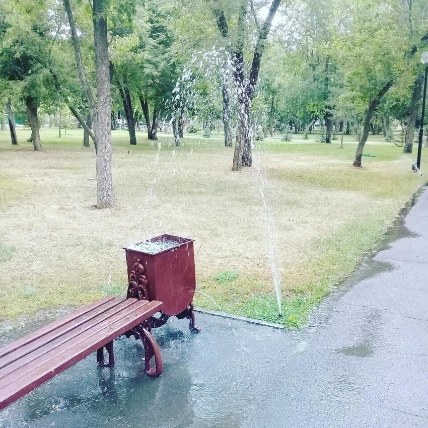 И бонус - эти двое, кажется, прекрасно подошли друг другу Немного промахнулись
(20 фото)