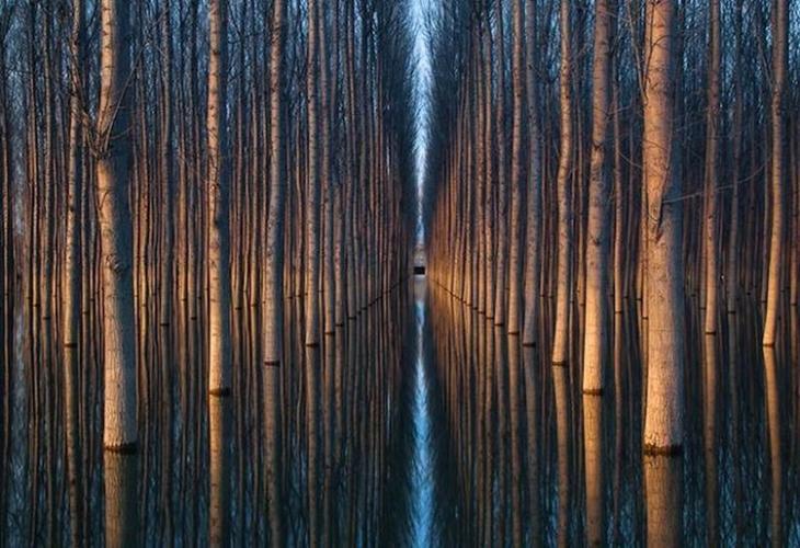 Природа без фотошопа 14 Природа без фотошопа 14