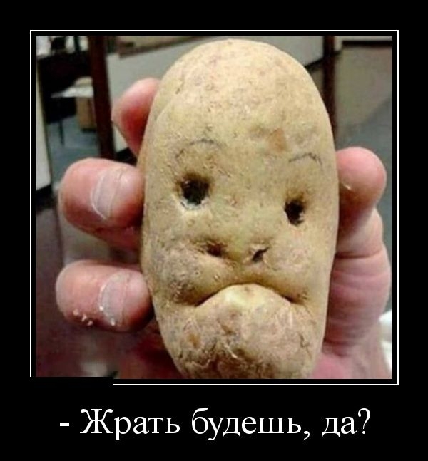 Демотиваторы Демотиваторы
