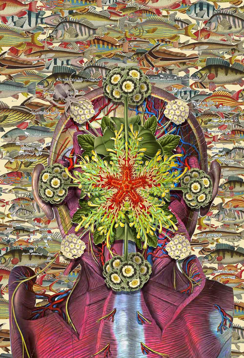 Как наладить систему постоянного внутреннего самоочищения организма