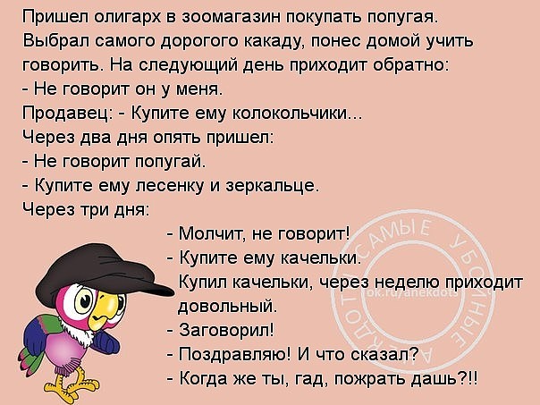 Поляк и француз на пляже. Вокруг француза — стая женщин, на поляка же внимания никто не обращает... Поляк и француз на пляже. Вокруг француза — стая женщин, на поляка же внимания никто не обращает...