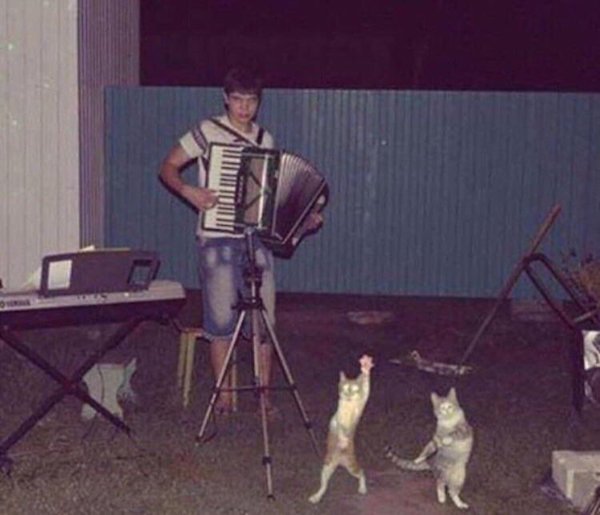 2204269 215 Russia is number one exporter of insanity! (25 Photos)