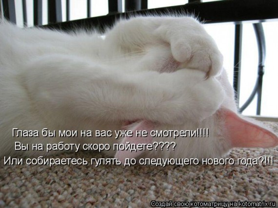 Котоматрицы новогодние великолепные, каждая с кусочком тепла, позитива и улыбкой!