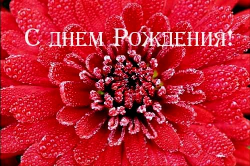 Скайп всех поздравляет с днем рождения Скайп всех поздравляет с днем рождения