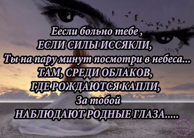 Ты смотришь на нас с небес стих Ты смотришь на нас с небес стих