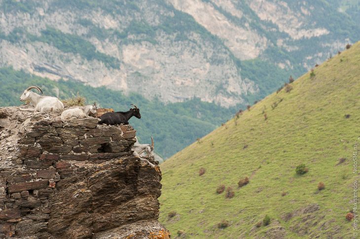 Живая древность: осетинские башни Живая древность: осетинские башни