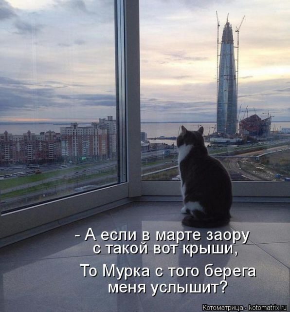 Котоматрицы для подзарядки позитивом))) Котоматрицы для подзарядки позитивом)))