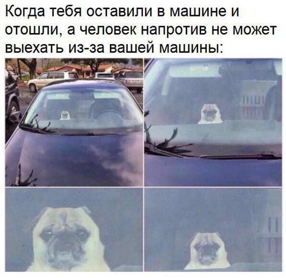 Забавные и позитивные картинки с надписями со смыслом (11 фото) Забавные и позитивные картинки с надписями со смыслом (11 фото)