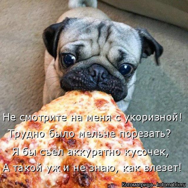 Самые смешные котоматрицы для хорошего настроения) Самые смешные котоматрицы для хорошего настроения)