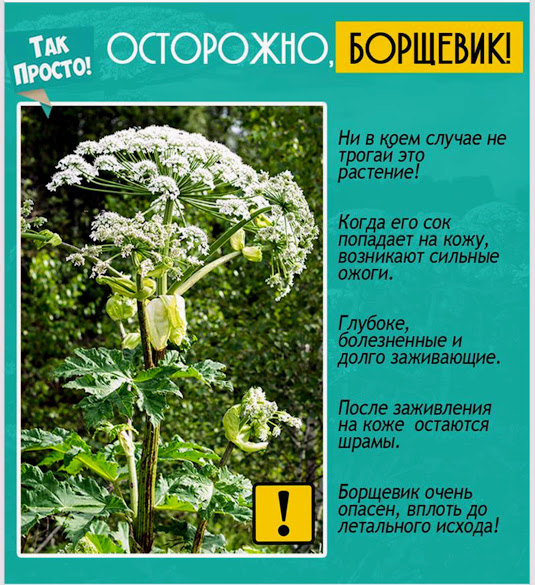 Объясни детям, насколько это опасно! Объясни детям, насколько это опасно!