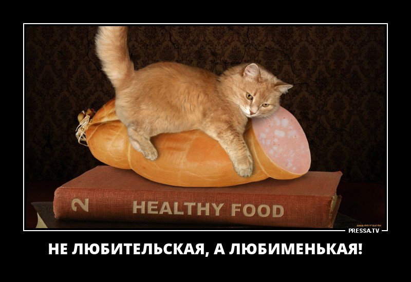 Забавные демотиваторы о жизни Забавные демотиваторы о жизни