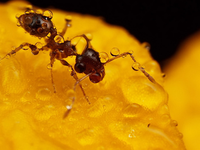 ��������������� John Cogan