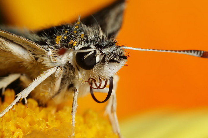 ��������������� John Cogan