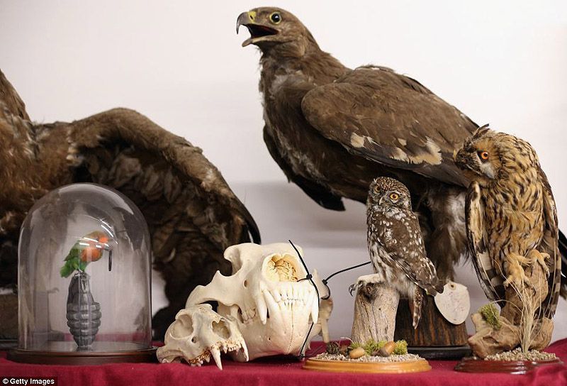 аэропорт, контрабанда, конфискация, Лондон, таможня