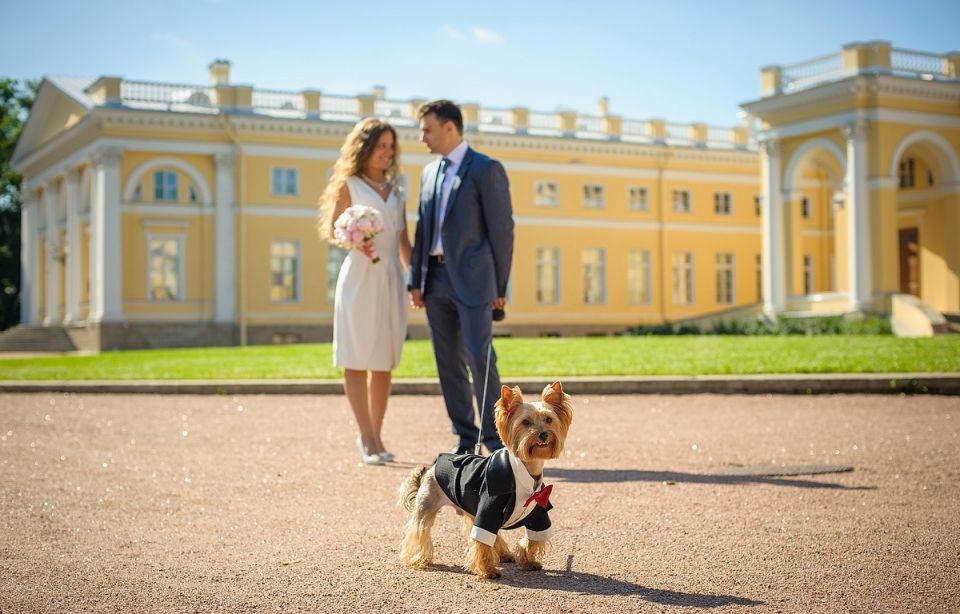 Лучшие места для свадебной фотосессии в Петербурге