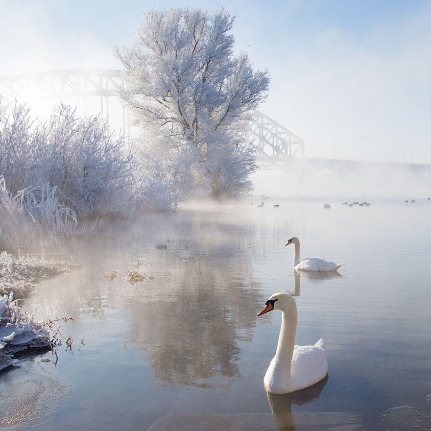Зимние пейзажи Зимние пейзажи зимние, красивые, фото