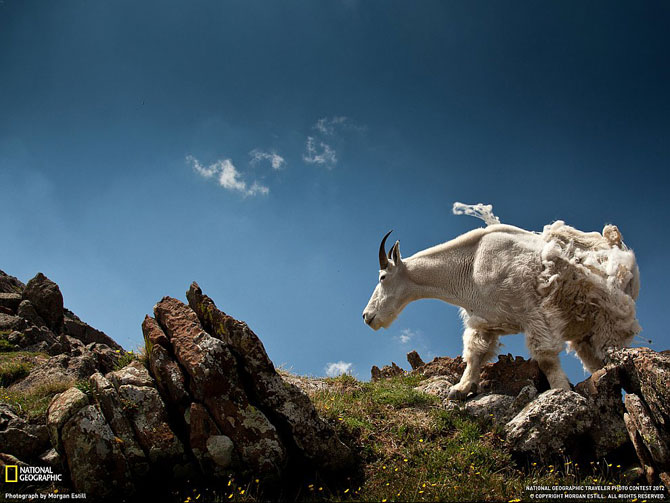 Лучшие фотографии июня 2012 от National Geographic