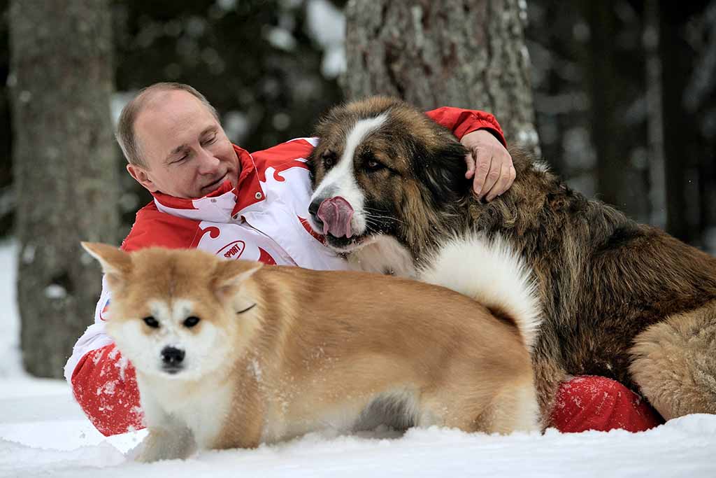 Русская служба Би-би-си вспоминает, каких животных  дарили Путину.