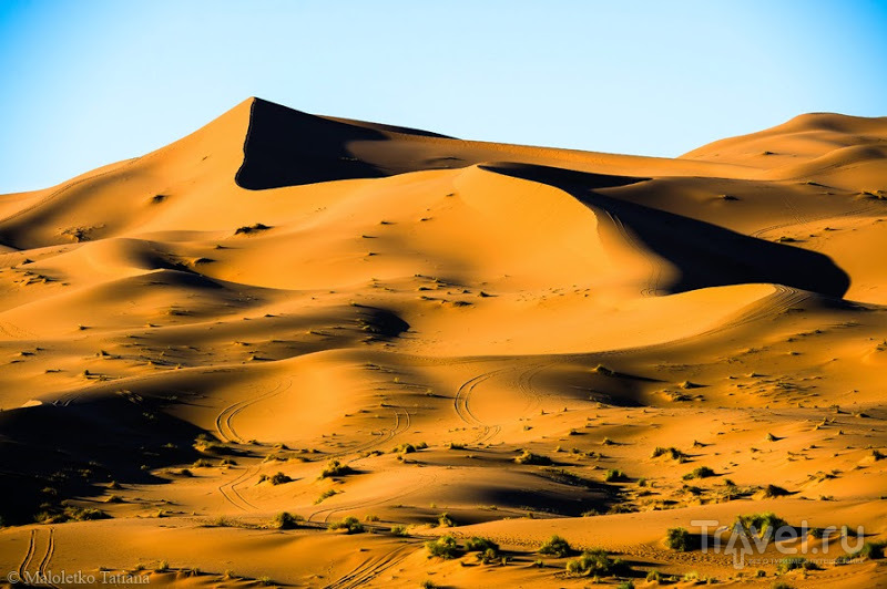Morocco: Erg Chebbi Morocco: Erg Chebbi