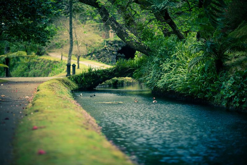 Азорские острова - места нетронутой природы