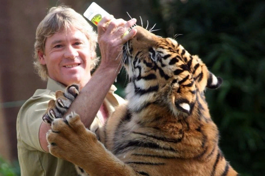 Кормить повзрослевшего тигра молоком - верх жестокости! 