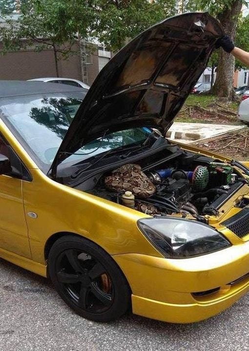 Подборка автомобильных приколов Подборка автомобильных приколов авто, автомобили, автоприкол, автоприколы, подборка, прикол, приколы, юмор