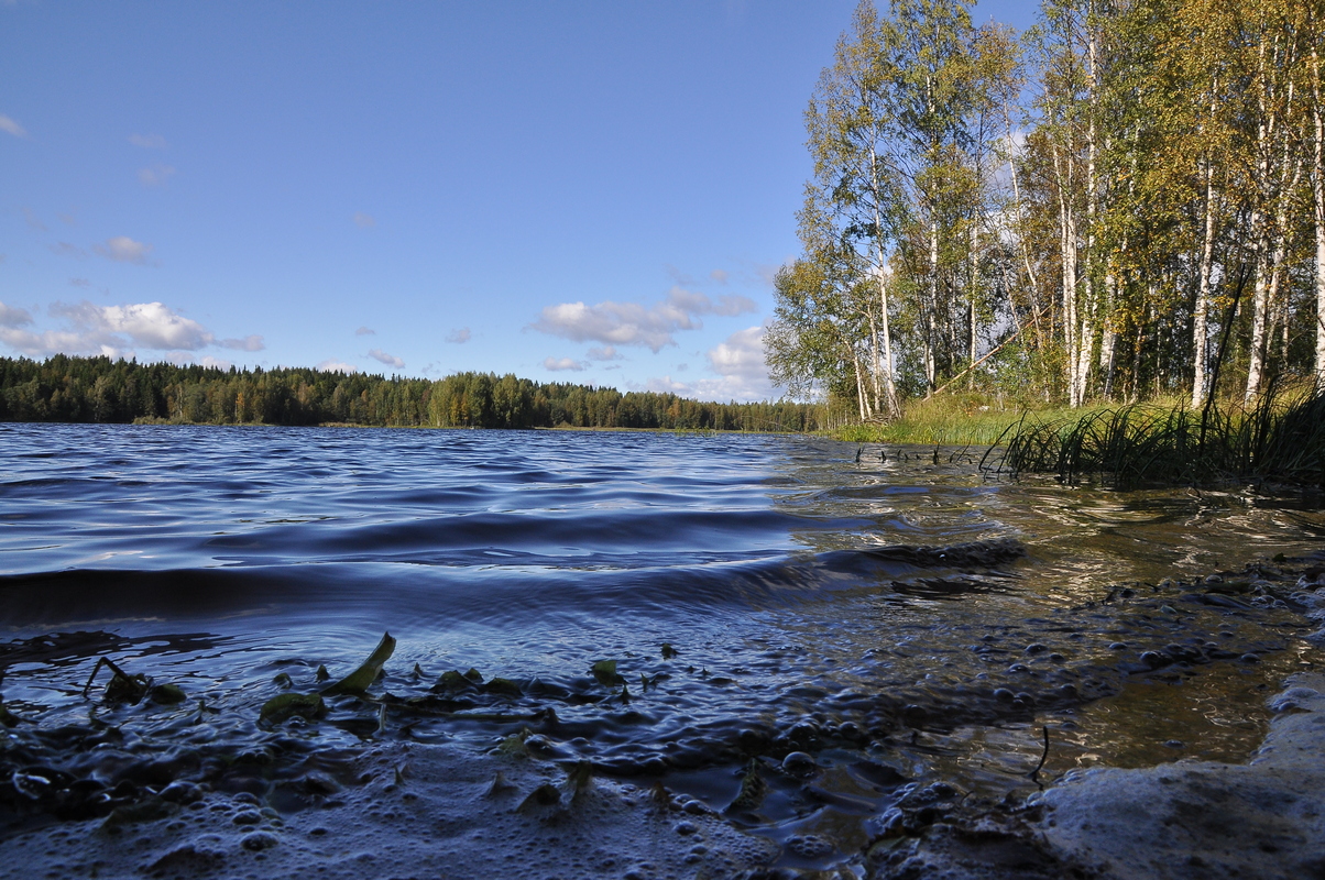 Природа России 5 Природа России 5