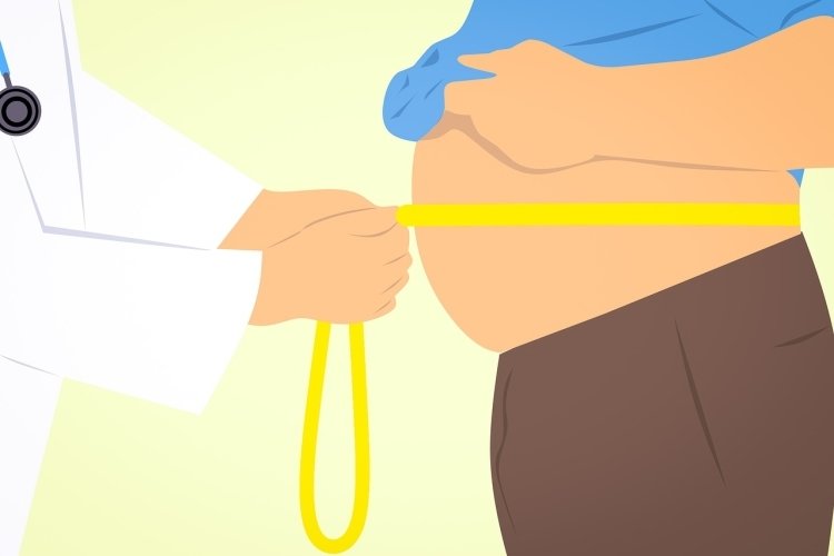 Ученые выяснили, что лишний вес делает человека глупее