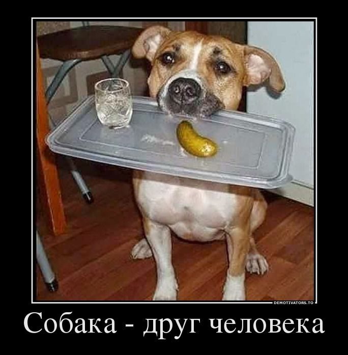 Демотиваторы.Смешные, грустные, жизненные.... Демотиваторы.Смешные, грустные, жизненные....