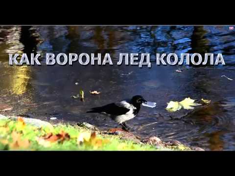 Как ворона лёд колола Как ворона лёд колола