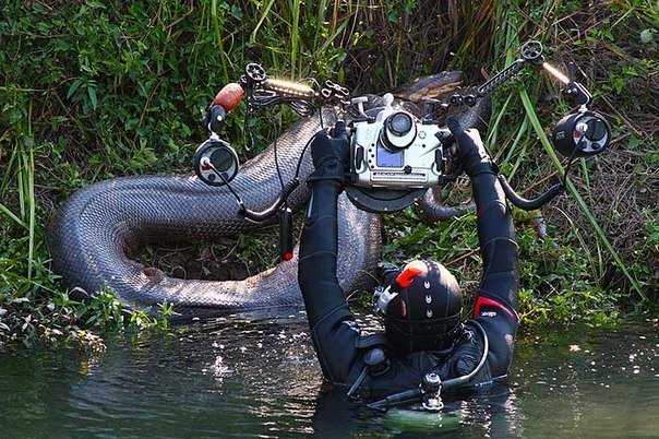 Больше, чем просто фотография. Часть 5