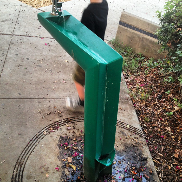 This Drinking Fountain Has A Catch For Dogs