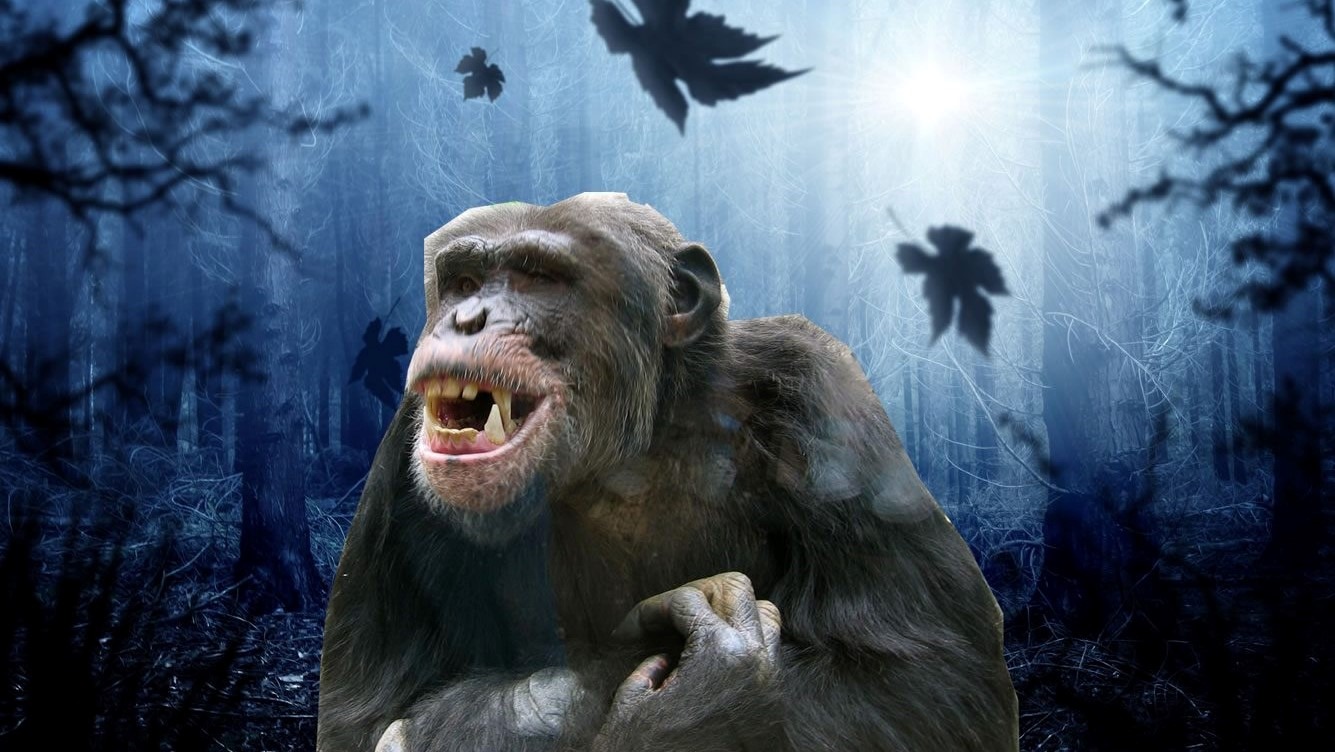 мартышка-онанист призрак обезьяны отвратительные мужики disgusting men