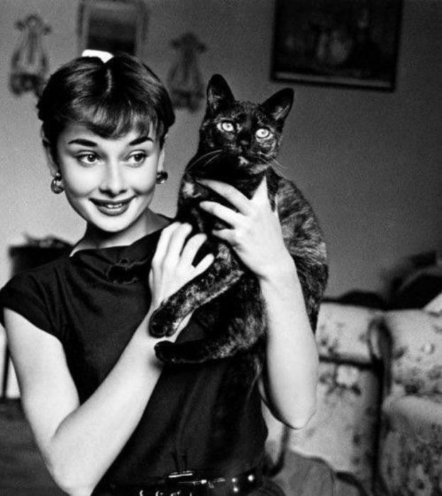 Фотографии звёзд-красавиц с их любимыми питомцами Фотографии звёзд-красавиц с их любимыми питомцами