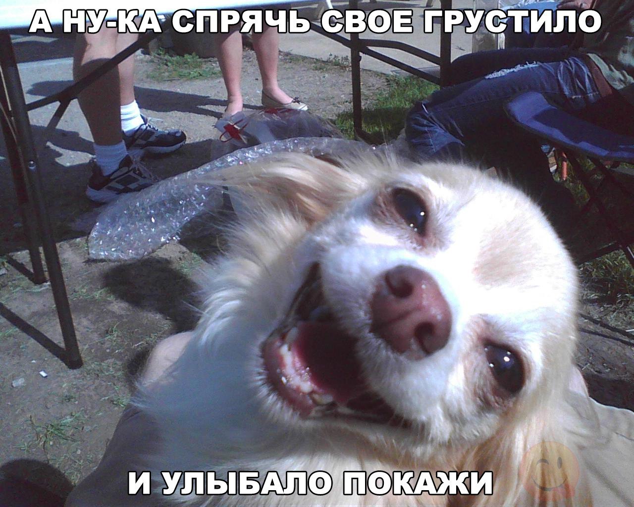 У одинокого оптимиста кровать наполовину полная) У одинокого оптимиста кровать наполовину полная)
