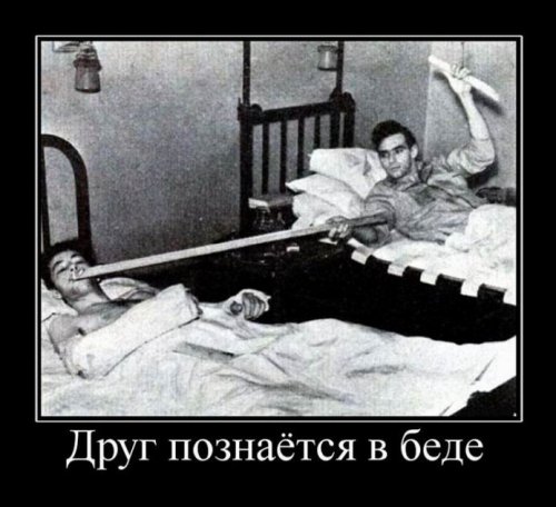 Веселые демотиваторы для улыбок (11 фото) Веселые демотиваторы для улыбок (11 фото)