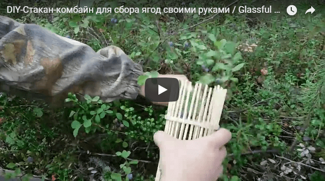 Стакан-комбайн для сбора ягод своими руками